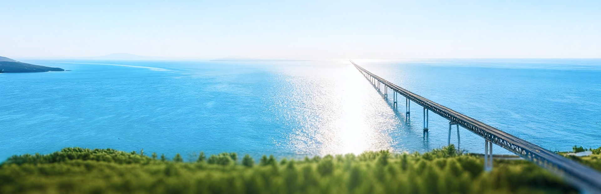 可一连生长图片1